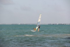 IMG_4343