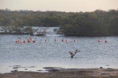 IMG_4347