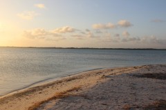 IMG_4352
