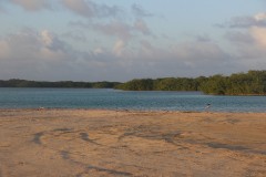 IMG_4354