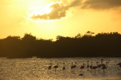 IMG_4358