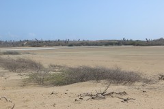 IMG_4374-Wahington-Slagbaai-NP-Salina-Matijs