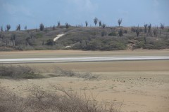 IMG_4376