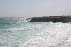 IMG_4379