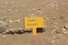 IMG_4386-Seru-Grandi