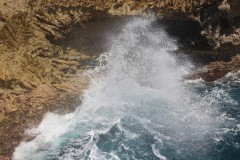 IMG_4392