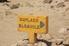 IMG_4393