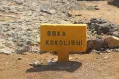 IMG_4394-Boka-Kokolishi