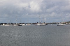 IMG_4405