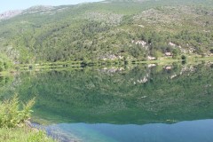 IMG_9871