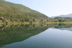 IMG_9872