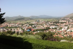 IMG_9876