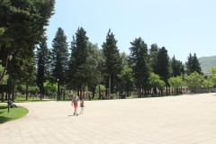 IMG_9888