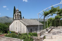 IMG_9908