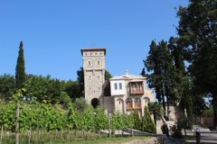IMG_9910