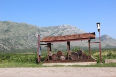 IMG_9916