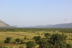IMG_9921