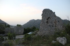 IMG_9942