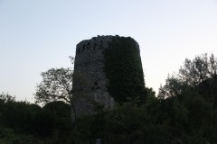 IMG_9944