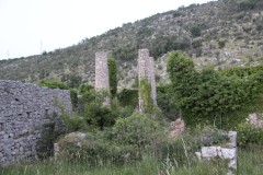 IMG_9946