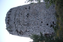 IMG_9947