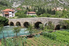 IMG_9971