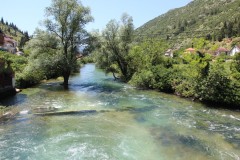 IMG_9973