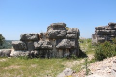 IMG_9982
