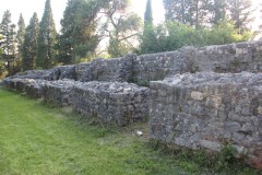 IMG_0011