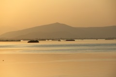 IMG_0020