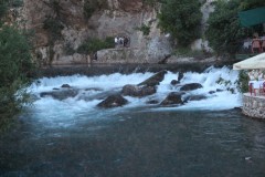 IMG_0094