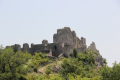 IMG_0120
