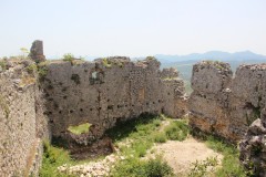 IMG_0123