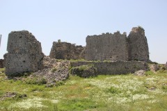 IMG_0125