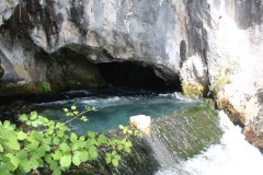 IMG_0131