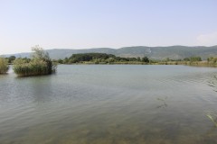 IMG_0140