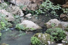 IMG_0145