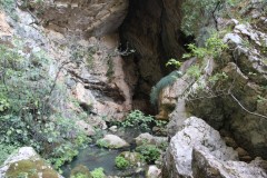 IMG_0146
