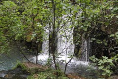 IMG_0147