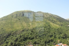 IMG_0206