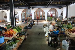 IMG_0228