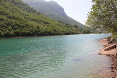 IMG_0241