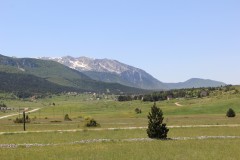 IMG_0262