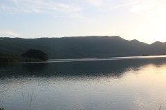 IMG_0290