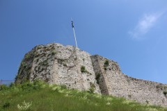 IMG_0306