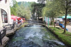 IMG_0327