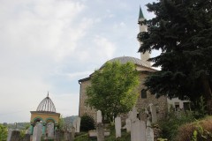 IMG_0333