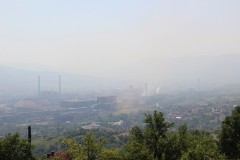 IMG_0349