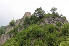 IMG_0372