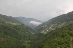 IMG_0375